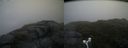 ./images/calvert/buxton2/20160703/buxton220160703_090008M.jpg