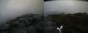 ./images/calvert/buxton2/20160703/buxton220160703_094515M.jpg