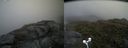 ./images/calvert/buxton2/20160703/buxton220160703_164458M.jpg