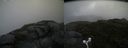 ./images/calvert/buxton2/20160703/buxton220160703_170522M.jpg