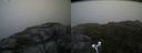 ./images/calvert/buxton2/20160703/buxton220160703_183957M.jpg