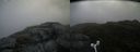 ./images/calvert/buxton2/20160704/buxton220160704_090541M.jpg
