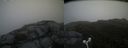 ./images/calvert/buxton2/20160704/buxton220160704_125041M.jpg