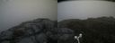 ./images/calvert/buxton2/20160704/buxton220160704_133524M.jpg