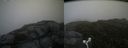 ./images/calvert/buxton2/20160704/buxton220160704_144001M.jpg