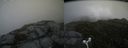 ./images/calvert/buxton2/20160704/buxton220160704_150000M.jpg