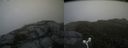 ./images/calvert/buxton2/20160704/buxton220160704_151520M.jpg