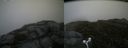 ./images/calvert/buxton2/20160704/buxton220160704_152002M.jpg