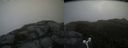 ./images/calvert/buxton2/20160704/buxton220160704_152959M.jpg