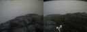 ./images/calvert/buxton2/20160704/buxton220160704_165038M.jpg