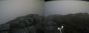 ./images/calvert/buxton2/20160704/buxton220160704_175601M.jpg