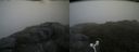 ./images/calvert/buxton2/20160704/buxton220160704_180004M.jpg