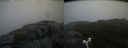 ./images/calvert/buxton2/20160704/buxton220160704_180958M.jpg