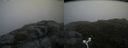 ./images/calvert/buxton2/20160704/buxton220160704_193017M.jpg