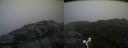 ./images/calvert/buxton2/20160704/buxton220160704_193457M.jpg