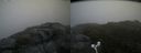 ./images/calvert/buxton2/20160704/buxton220160704_194458M.jpg