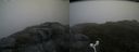 ./images/calvert/buxton2/20160704/buxton220160704_195004M.jpg