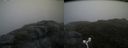 ./images/calvert/buxton2/20160704/buxton220160704_200007M.jpg