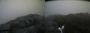 ./images/calvert/buxton2/20160704/buxton220160704_202458M.jpg