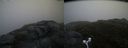./images/calvert/buxton2/20160704/buxton220160704_211956M.jpg