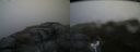 ./images/calvert/buxton2/20160705/buxton220160705_073602M.jpg