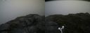 ./images/calvert/buxton2/20160705/buxton220160705_093005M.jpg