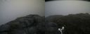 ./images/calvert/buxton2/20160705/buxton220160705_101508M.jpg