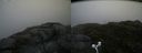 ./images/calvert/buxton2/20160705/buxton220160705_110102M.jpg