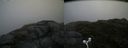 ./images/calvert/buxton2/20160705/buxton220160705_111024M.jpg