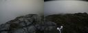 ./images/calvert/buxton2/20160705/buxton220160705_154513M.jpg