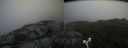 ./images/calvert/buxton2/20160705/buxton220160705_160501M.jpg