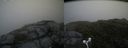./images/calvert/buxton2/20160705/buxton220160705_164507M.jpg