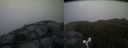 ./images/calvert/buxton2/20160705/buxton220160705_211005M.jpg