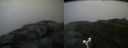 ./images/calvert/buxton2/20160706/buxton220160706_204521M.jpg