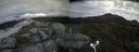 ./images/calvert/buxton2/20160709/buxton220160709_133938M.jpg