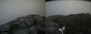 ./images/calvert/buxton2/20160709/buxton220160709_180449M.jpg