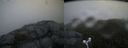 ./images/calvert/buxton2/20160710/buxton220160710_054937M.jpg
