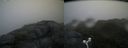 ./images/calvert/buxton2/20160710/buxton220160710_065959M.jpg