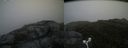./images/calvert/buxton2/20160710/buxton220160710_113950M.jpg