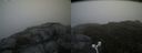 ./images/calvert/buxton2/20160710/buxton220160710_121454M.jpg