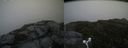 ./images/calvert/buxton2/20160710/buxton220160710_144439M.jpg