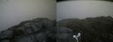 ./images/calvert/buxton2/20160710/buxton220160710_145439M.jpg