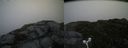 ./images/calvert/buxton2/20160710/buxton220160710_150453M.jpg