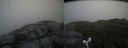 ./images/calvert/buxton2/20160710/buxton220160710_152443M.jpg