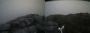./images/calvert/buxton2/20160710/buxton220160710_153943M.jpg