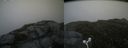 ./images/calvert/buxton2/20160710/buxton220160710_161452M.jpg
