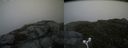 ./images/calvert/buxton2/20160710/buxton220160710_161951M.jpg