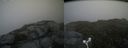 ./images/calvert/buxton2/20160710/buxton220160710_163940M.jpg