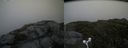 ./images/calvert/buxton2/20160710/buxton220160710_165445M.jpg