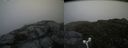 ./images/calvert/buxton2/20160710/buxton220160710_170938M.jpg